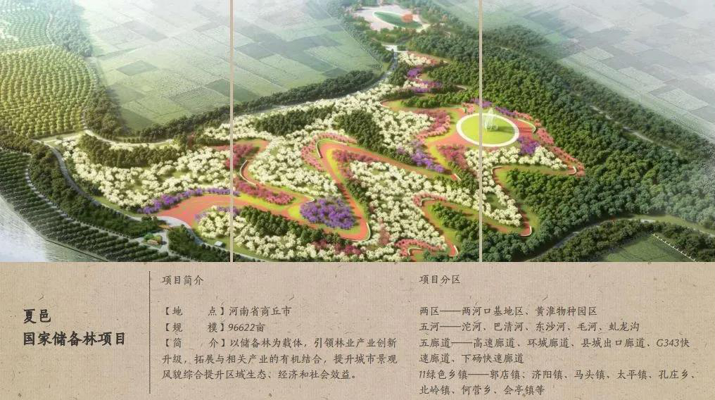 秦森园林：构建转型发展新模式 行业首创国储林运营中心